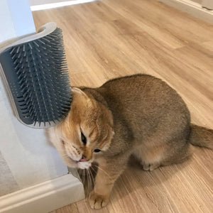 Corner Cat Massage Brush